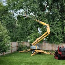Best Lawn Dethatching  in Midway, UT