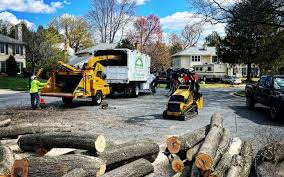 Best Lot and Land Clearing  in Midway, UT