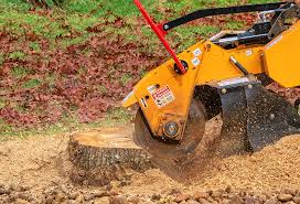 How Our Tree Care Process Works  in  Midway, UT